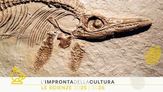 Impronte nel tempo: la storia nascosta negli strati della Terra