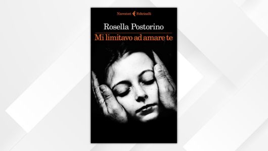 Rosella Postorino, Mi limitavo ad amare te