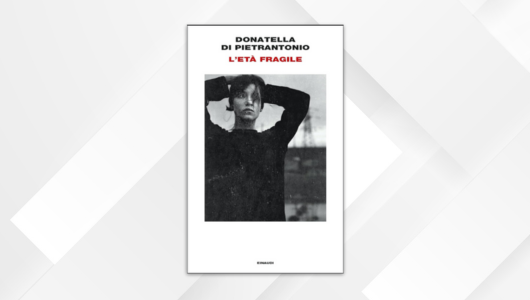 Donatella di Pietrantonio, L’età fragile